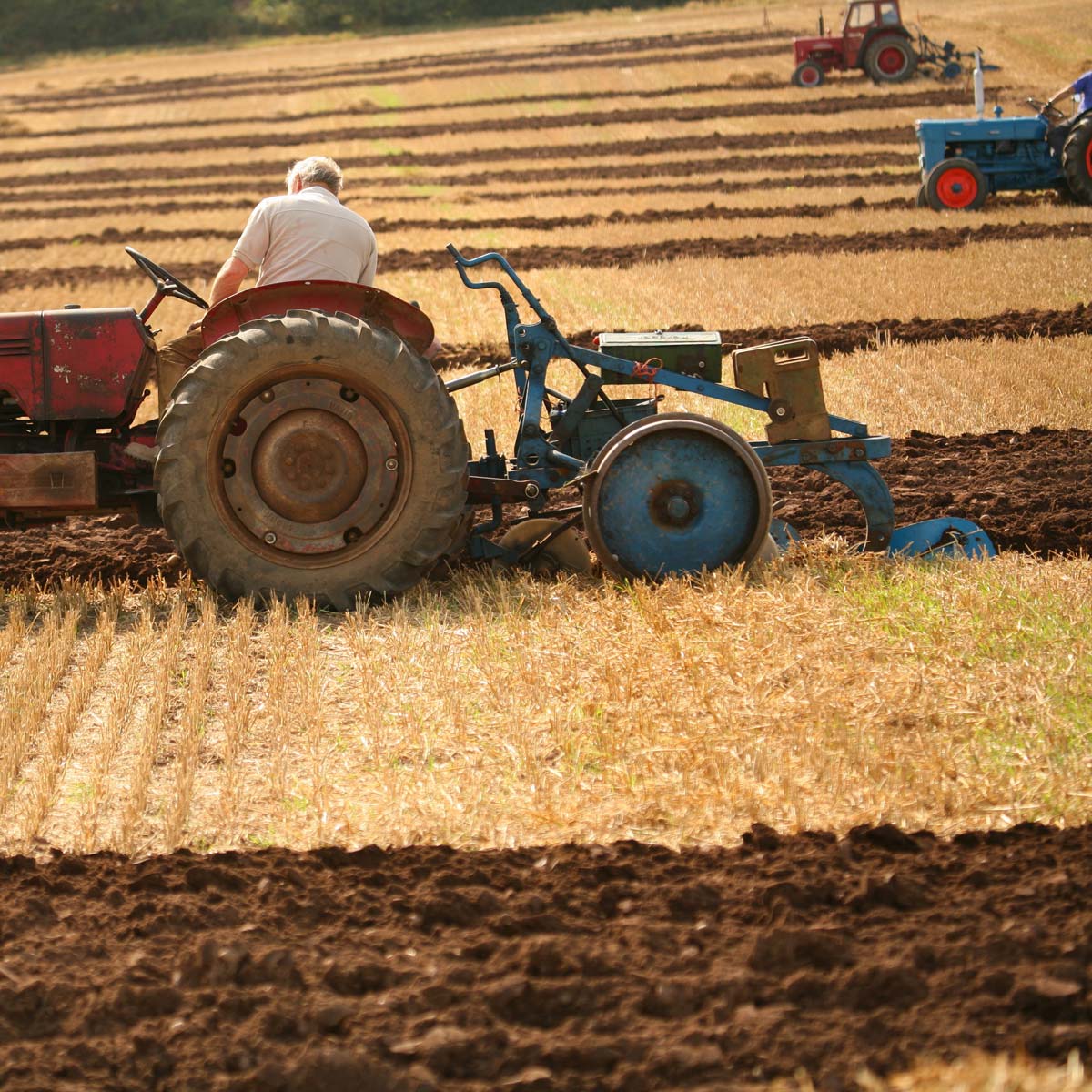 East Kent Ploughing Match